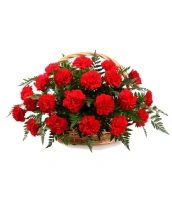 20 гвоздик в корзине 20 гвоздик в корзине