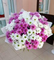 Магия чувств