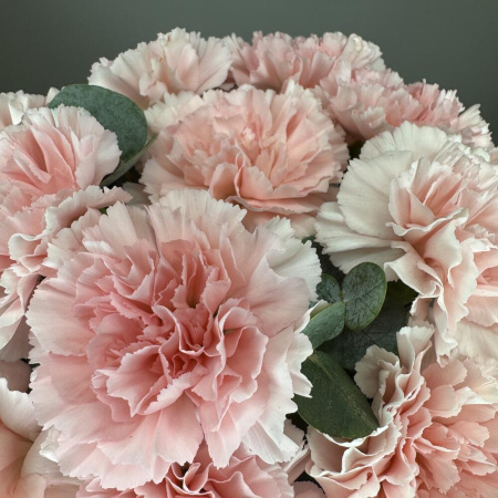 Букет_Коробочка из нежно-розовых гвоздик