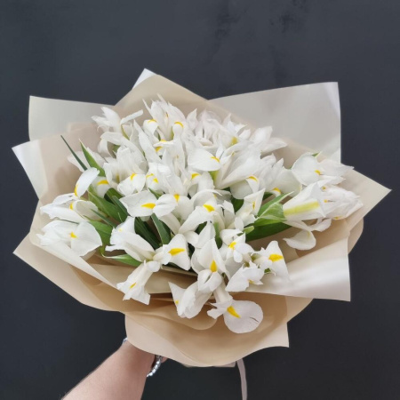 Букет_21 белый ирис