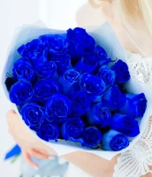25 синих роз 25 синих роз