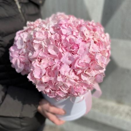 Букет_Гортензии розовые в коробочке Букет_Гортензии розовые в коробочке