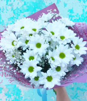 Венеция Венеция