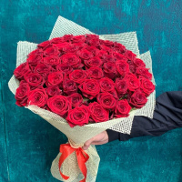 Букет_51 красных роз (60см) Букет_51 красных роз (60см)